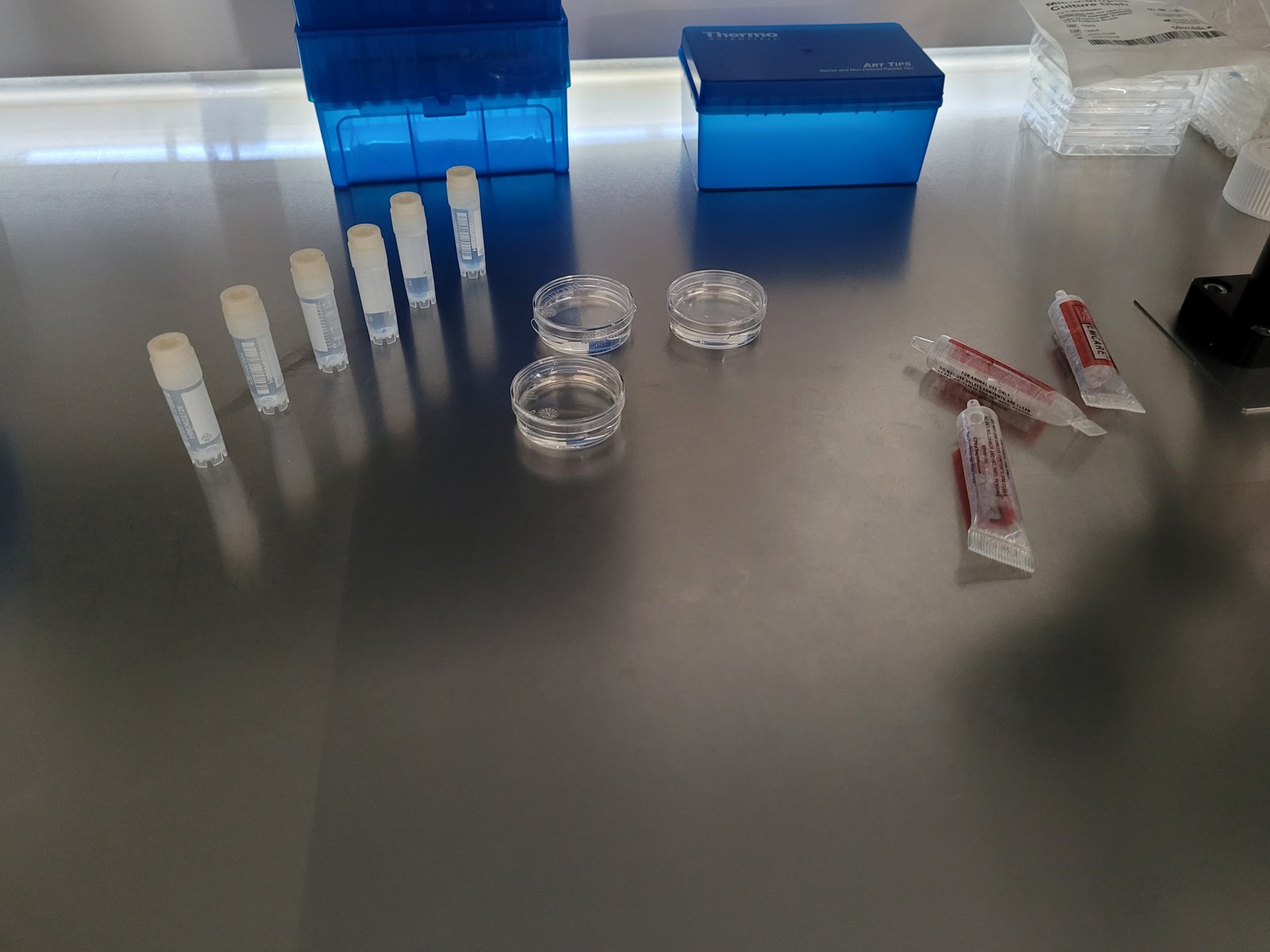 Morning Embryo Shipment Preparations