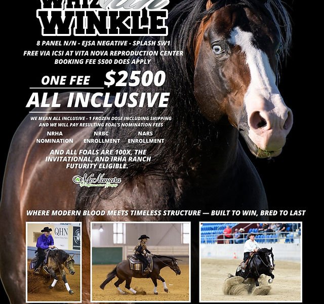 Whiz Van Winkle